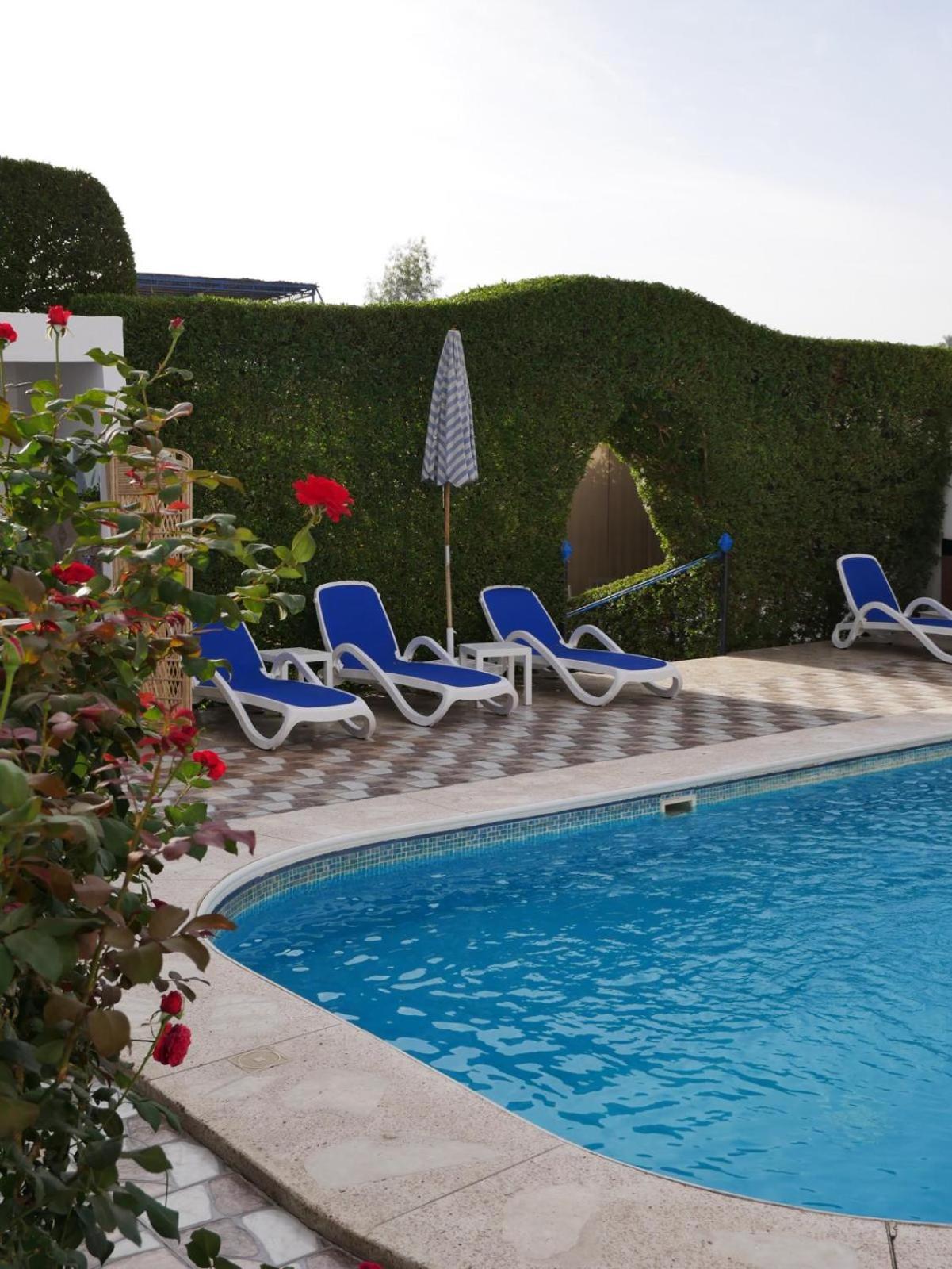 Villa Quiet Place Луксор Экстерьер фото